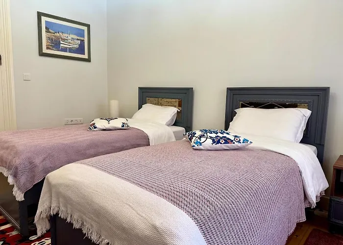 Villa Nostalgic & Comfortable Historical Home! Istambul