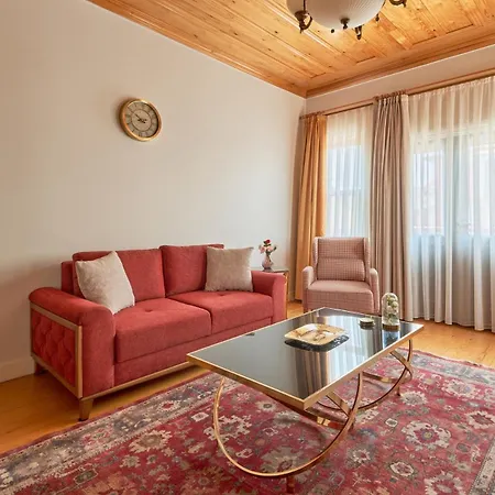 Nostalgic & Comfortable Historical Home! Villa Istanbul